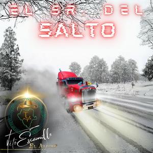 El SR. Del Salto
