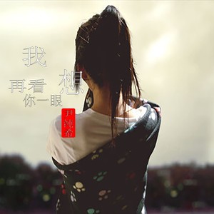 我想再看你一眼