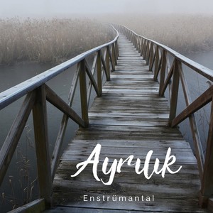 Ayrılık