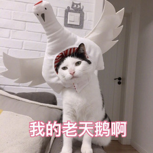 月出 FT枕然