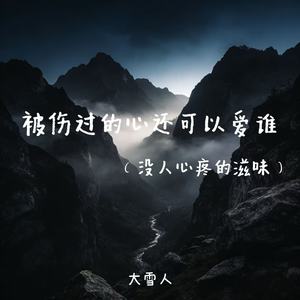 被伤过的心还可以爱谁（没人心疼的滋味）