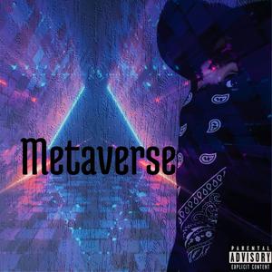 Metaverse (feat. 2nobeats) (Explicit)
