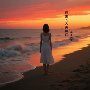 后来无人再像你 (伴奏)