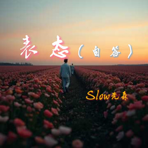 表态(自答) - Slow先森封面
