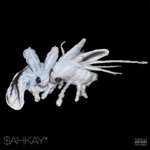 step $hit (feat. Sahgielaa) (Explicit)