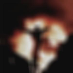 Autumn Gaas - Molly (feat. Freeza) (Explicit)