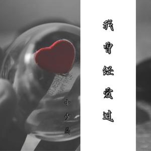 我曾经爱过 (伴奏)