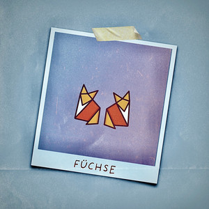 Füchse