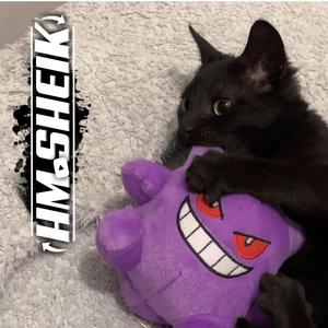 MTG - JOGO DO CORINTHIANS