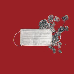 万虹之上