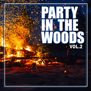 Party in the Woods, Vol. 2 (Explicit)