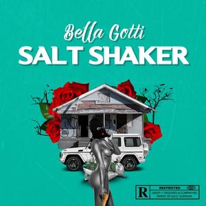 Salt Shaker (Explicit)