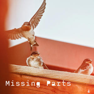 Missing Parts