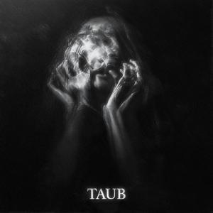 taub (Explicit)