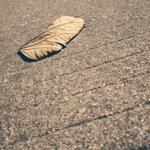 我们该怎么相爱