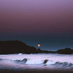 大海（如果大海能够）