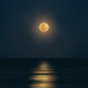 月无言 -Piano Ver.-