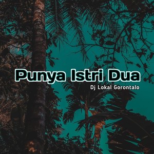 PUNYA ISTRI DUA