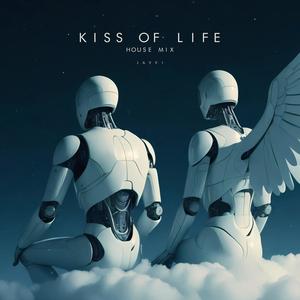 Kiss of Life House Mix