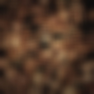 Profissão Perigo (Explicit)