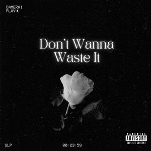 Don't Wanna Waste It (Explicit)