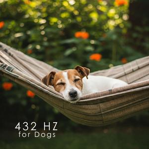 432 Hz for Dogs