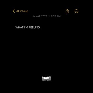 What I'm Feeling (Explicit)