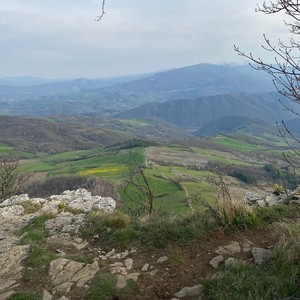 Верше, мій верше