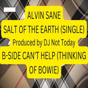 Salt Of The Earth (Explicit)