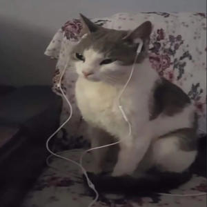 I wrote this for you at 4am when i couldn't sleep (feat. AMGDASAMURAI) (Explicit)