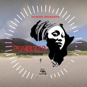 Pumbaza