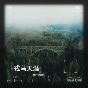 戎马天涯 (伴奏)