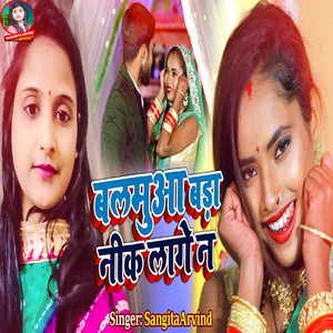 Balmuaa Bada Nik Lage N