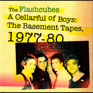 A Cellarful of Boys: The Basement Tapes, 1977-80 (Explicit)