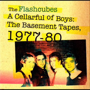 The Flashcubes - Radio