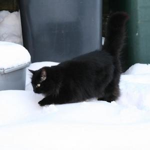 Holy Heights (Explicit)