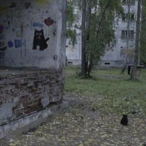 hi honey, i'm back from seeing the blurred moon