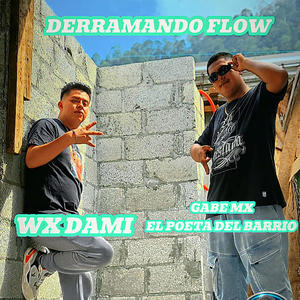 Derramando Flow (feat. Wx Dami)