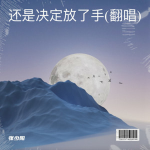 还是决定放了手