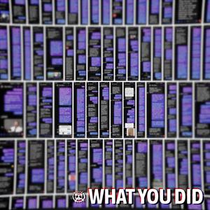 What You Did