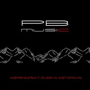 Aspiring (Original Mix)