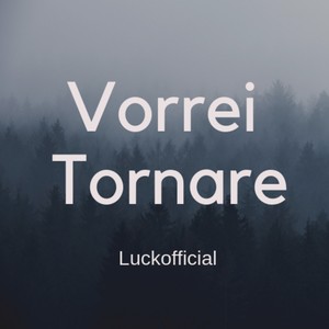 Vorrei tornare