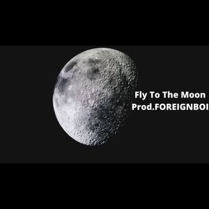 fly to the moon(explicit)