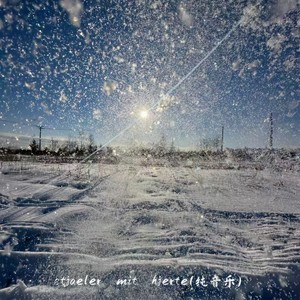 stjaeler mit hjerte (Inst.)