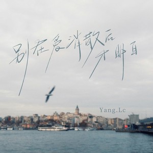 别在爱消散后才明白 (DJ九零版)