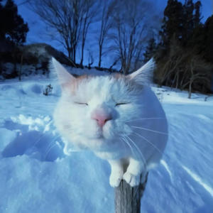 Unlock Gravedigger (feat. glimpse⭒) (Explicit)