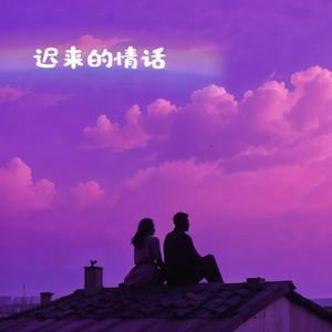 迟来的情话 (烟嗓DJ版)