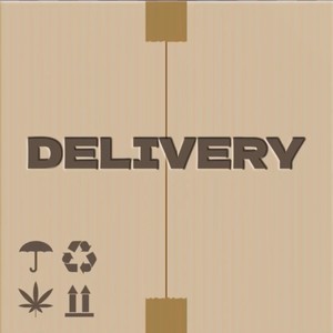 Delivery Freestyle (Explicit)