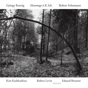 Fantasiestücke, Op. 73 - Schumann: Fantasiestücke, Op. 73: III. Rasch und mit Feuer