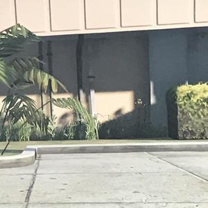 Combo Breaka (Explicit)